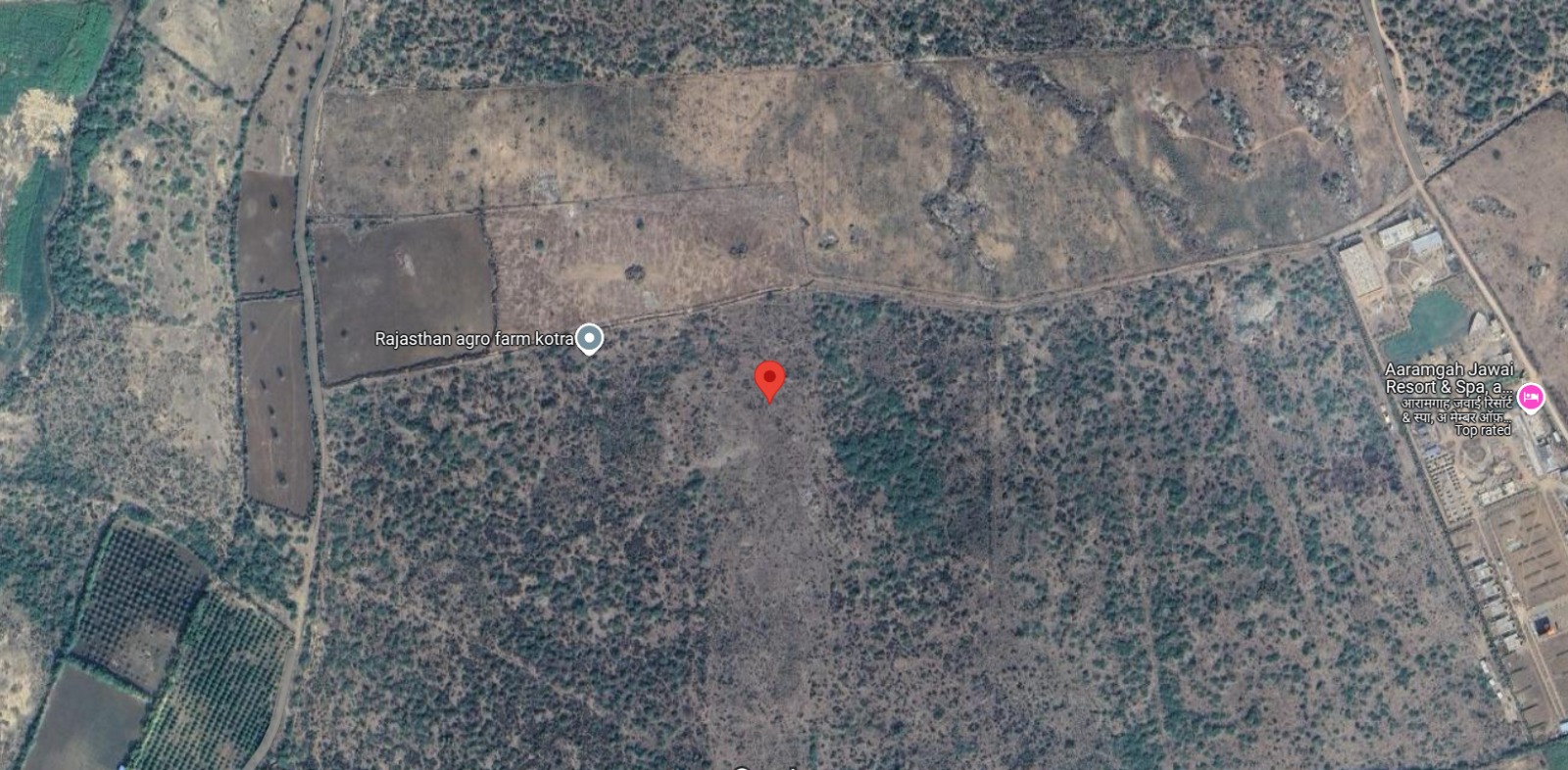 Land for Resort Development in Jawai Bandh Leopard Safari Area Rajasthan