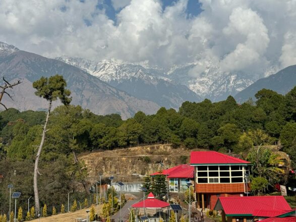 🌄 Resort for Sale in Palampur, Kangra – 13.5 Bigha Estate