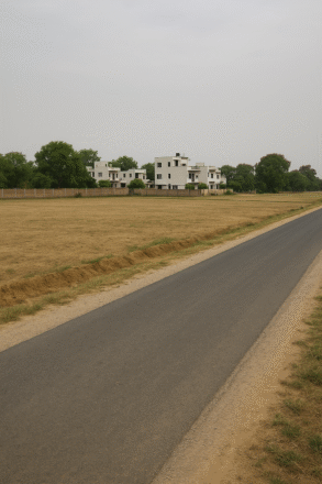 Land for Sale – Palu, Near Ajmer Highway | 10 Bigha (3025 Sq. Yards + 1 Bigha) | 7 CR