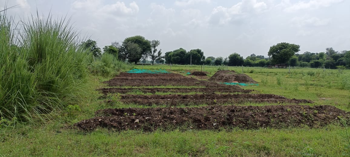 ๐ก 4 Bigha General Category Agricultural Land for Sale โ Near Jaipur-Delhi NH-8