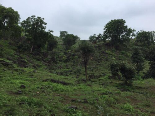 Prime resort land in Chandani Village, Udaipur—20 km from city & 6 km from NH8. Ideal for resort, farmhouse, wedding venue & investment.