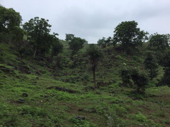 Premium Land Parcel for Sale Hill Side Serien, Near Udaipur