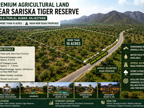 Road-touch 10+ acre agricultural land surrounded by the Aravalli Hills near Sariska Tiger Reserve, Tahla, Alwar.