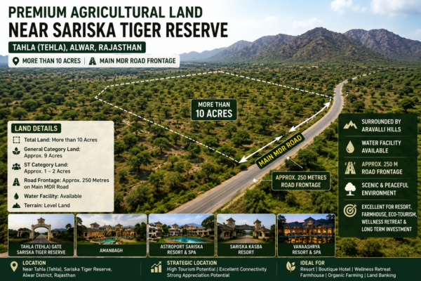 Premium Agricultural Land for Sale – Near Sariska Tiger Reserve, Tahla, Alwar